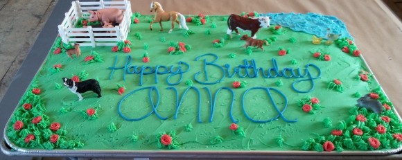 Farm Birthday Party Cake Gallery