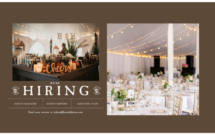 Farm Events, CSA, Wedding Venue in North Andover | Smolak Farms