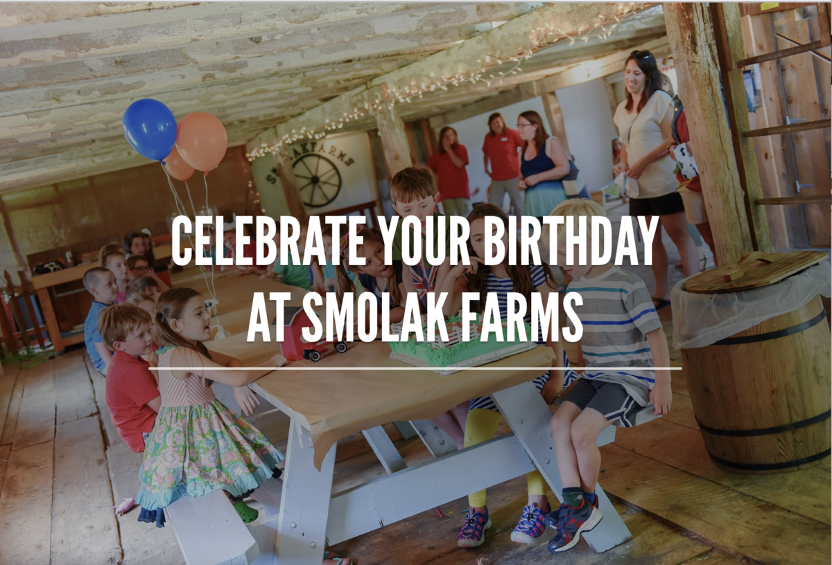 Farm Birthday Party at Smolak Farms in North Andover MA