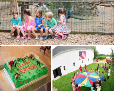 Farm Birthday Party at Smolak Farms in North Andover MA
