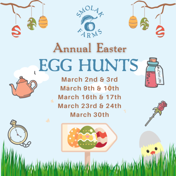 Annual Easter Egg Hunts at Smolak Farms Macaroni KID Burlington