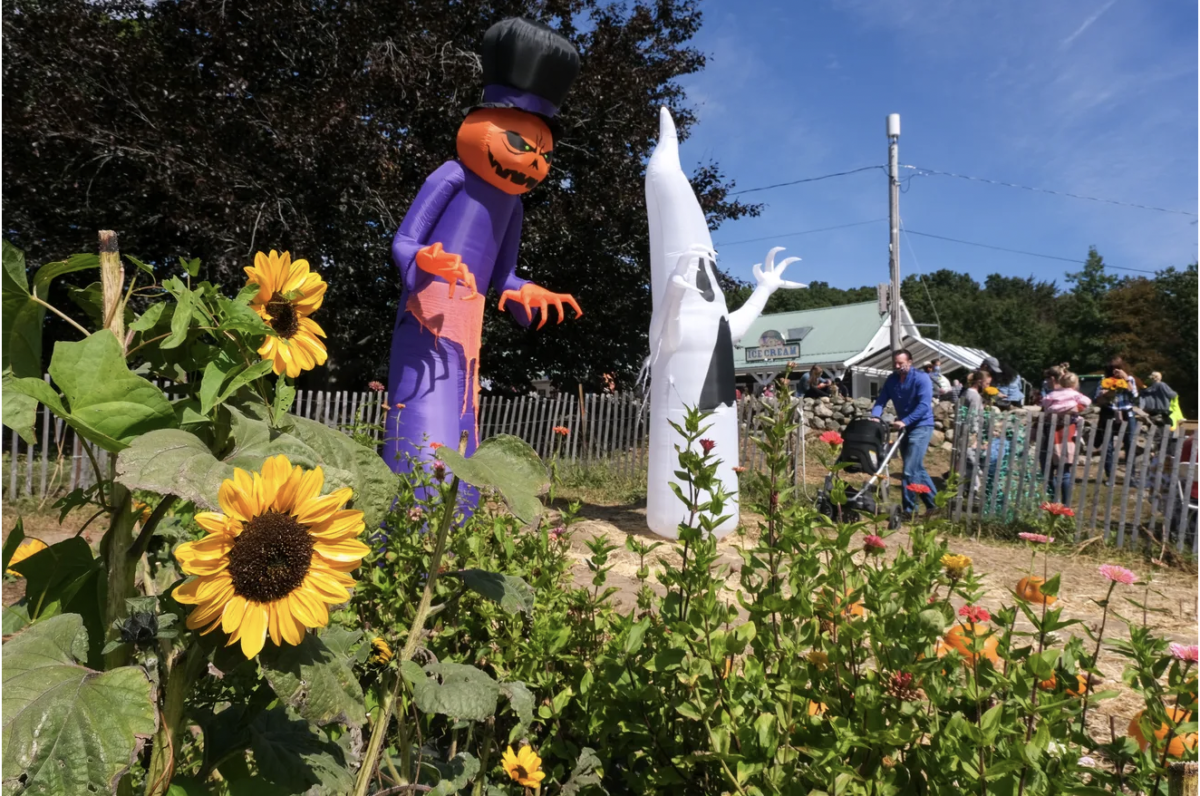 Farm Events, CSA, Wedding Venue in North Andover | Smolak Farms