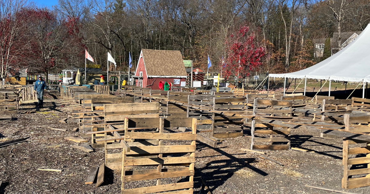 Christmas Tree Alert: Pre-Cut Lot Opens 11/22 | Smolak Farms