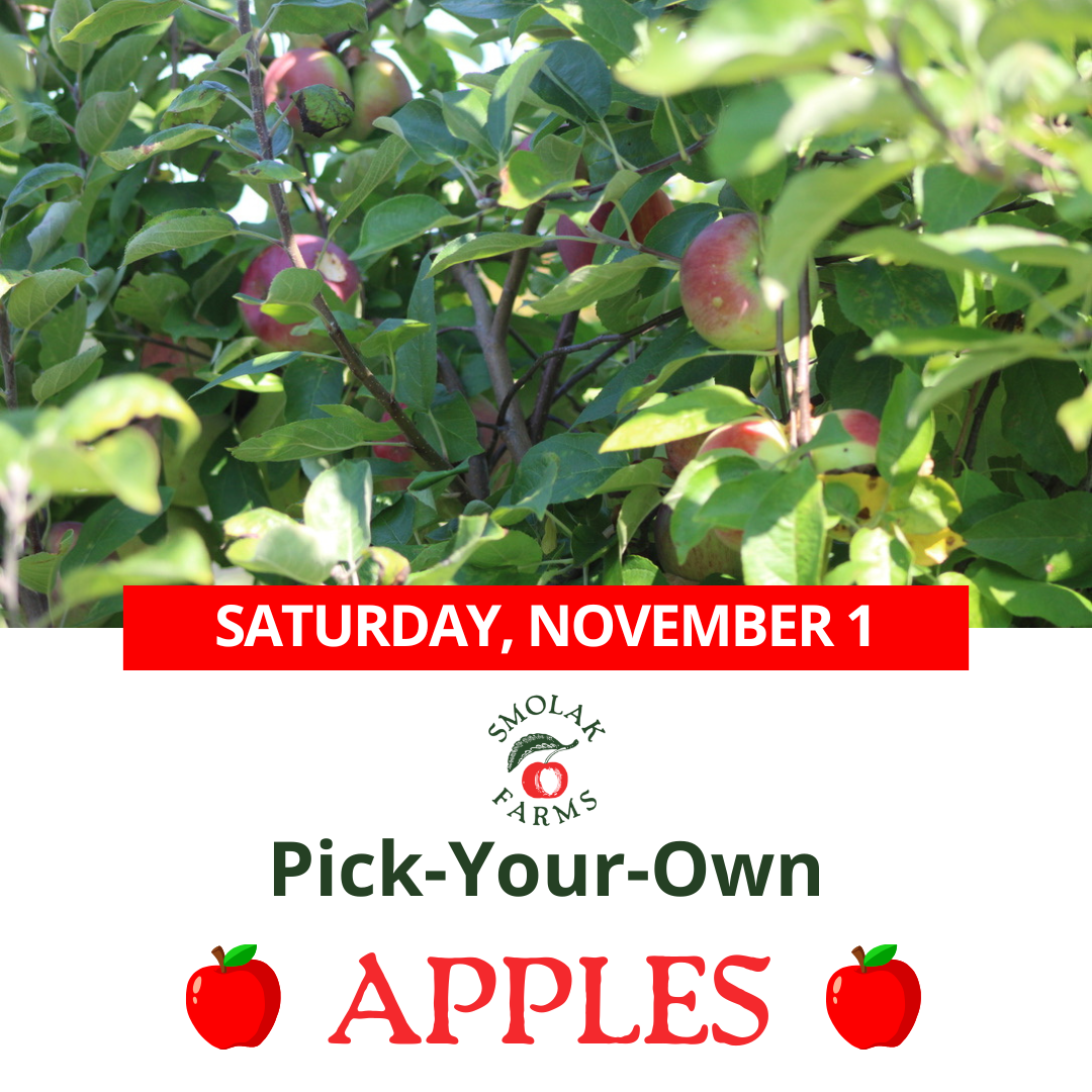 Events_HomePage (1080 x 1080 px)(4)